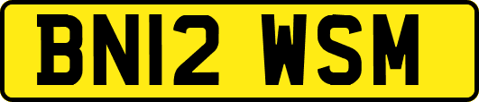 BN12WSM