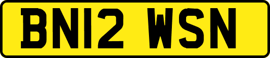 BN12WSN