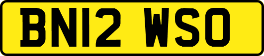 BN12WSO