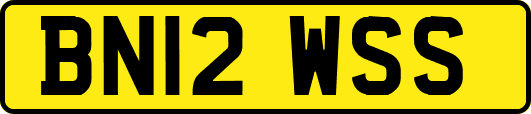 BN12WSS