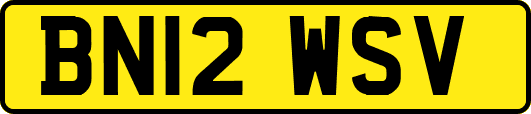 BN12WSV