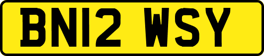 BN12WSY