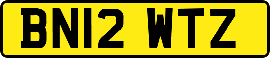 BN12WTZ