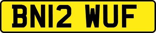 BN12WUF