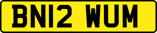 BN12WUM