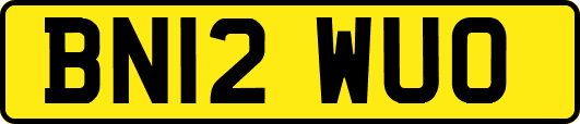 BN12WUO