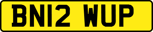 BN12WUP