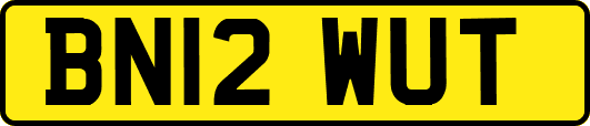 BN12WUT