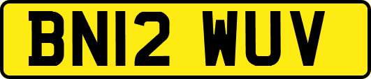 BN12WUV