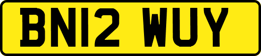 BN12WUY