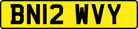 BN12WVY
