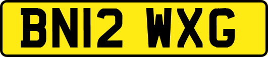 BN12WXG