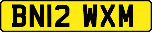 BN12WXM