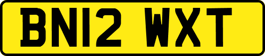 BN12WXT