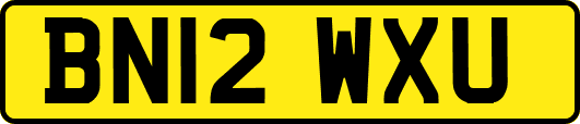 BN12WXU