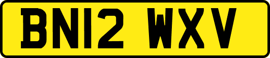 BN12WXV