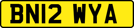 BN12WYA