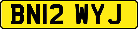 BN12WYJ