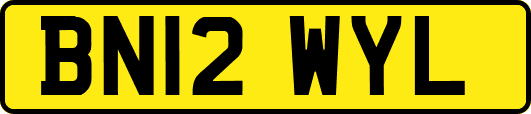 BN12WYL