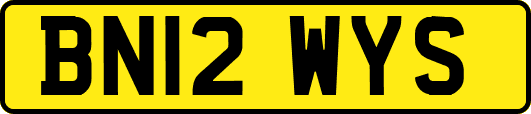 BN12WYS