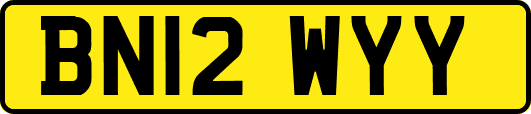 BN12WYY