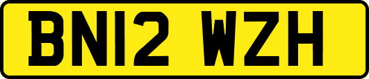 BN12WZH