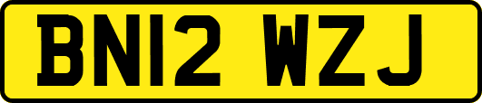 BN12WZJ