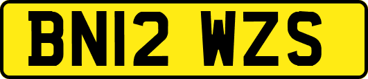 BN12WZS