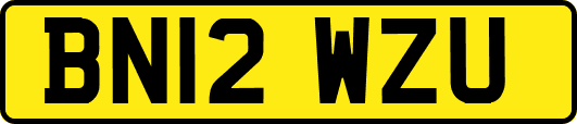 BN12WZU