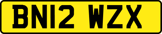 BN12WZX