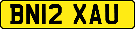 BN12XAU