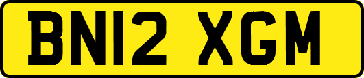 BN12XGM
