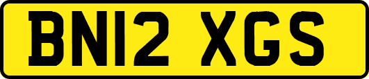 BN12XGS