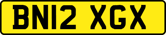 BN12XGX