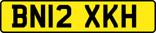 BN12XKH
