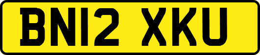 BN12XKU