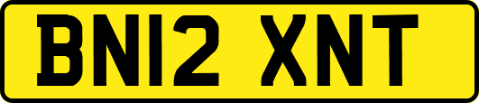BN12XNT