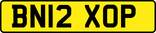 BN12XOP