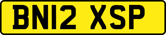 BN12XSP