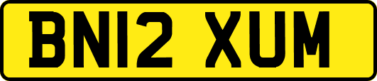 BN12XUM