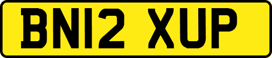 BN12XUP