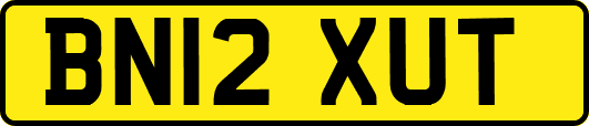 BN12XUT