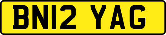 BN12YAG