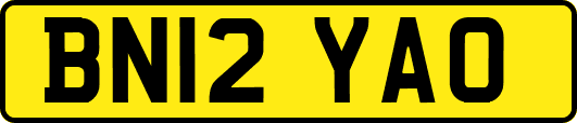 BN12YAO
