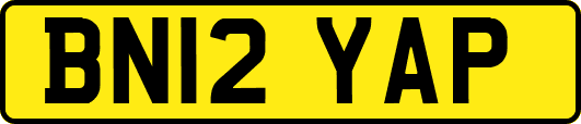 BN12YAP