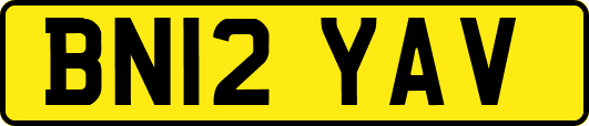 BN12YAV