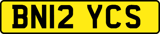 BN12YCS