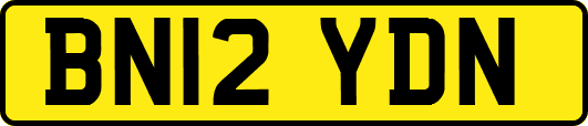 BN12YDN