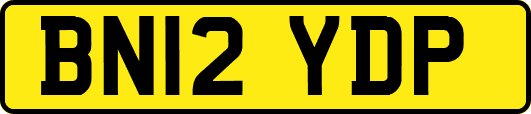 BN12YDP