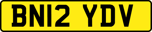 BN12YDV
